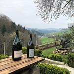 Weingut Walter Wien