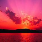 La Cambusa Rosticceria Gastronomia