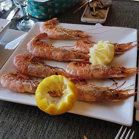 El Rincon de Jose Luis