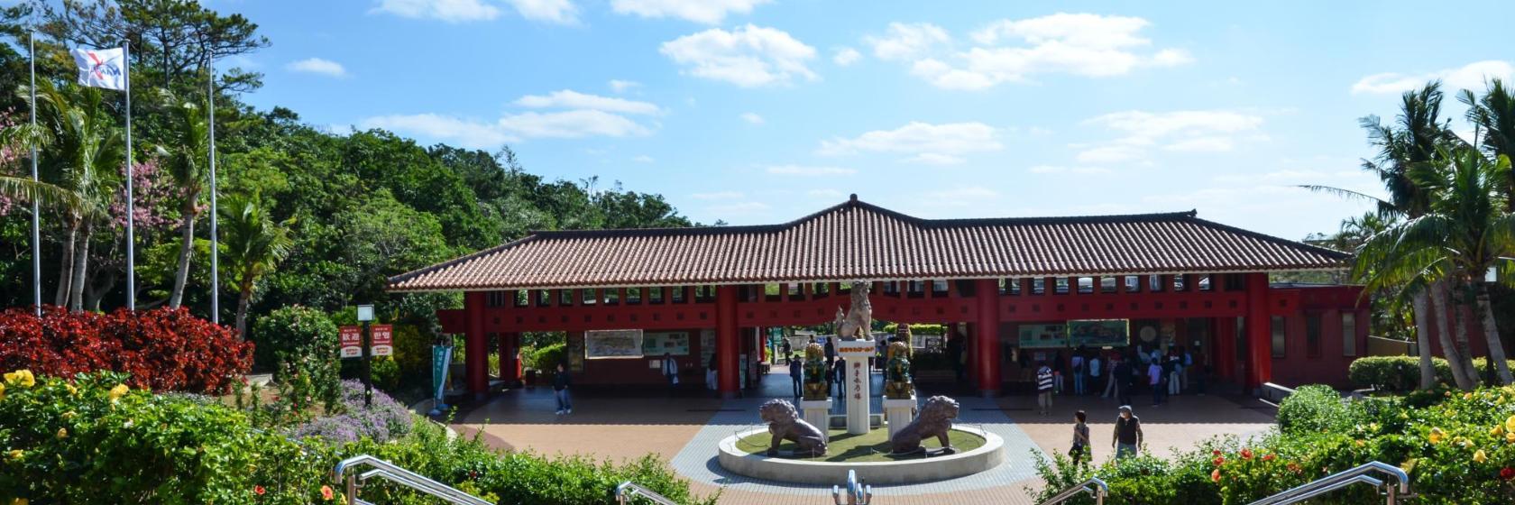 Okinawa World
