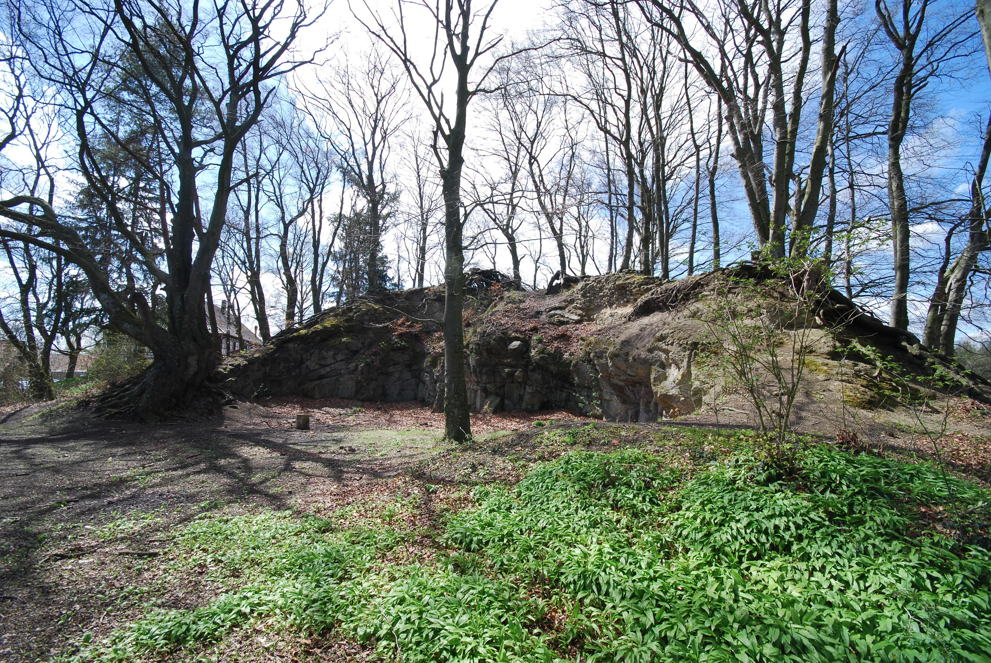 Burg Rosenegg