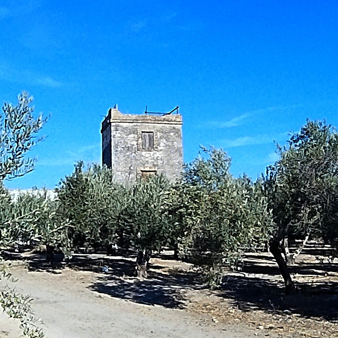 Torre Juncá