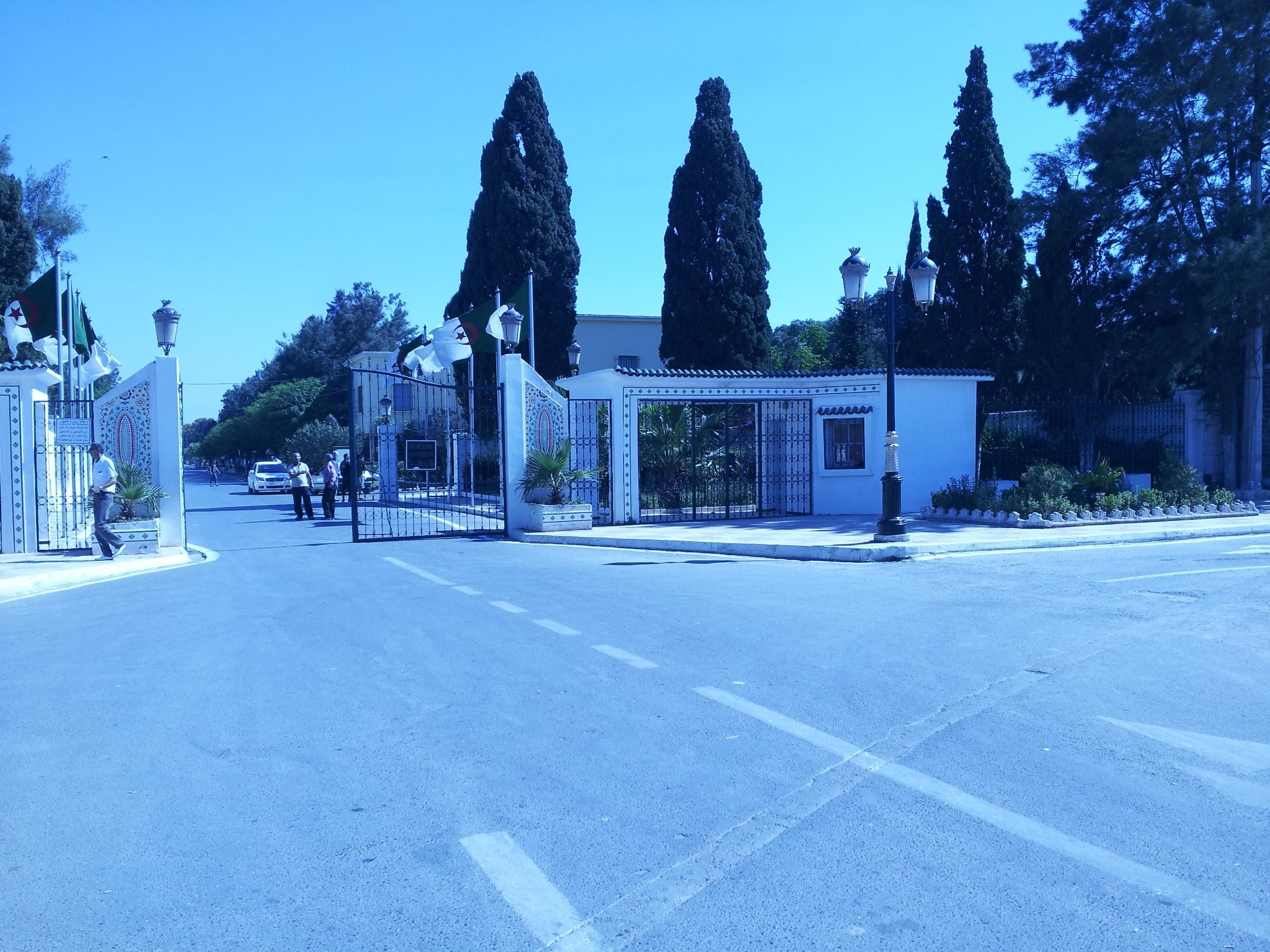 Al Alia Cemetery