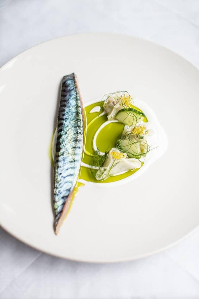 Bonnie Gull Fitzrovia