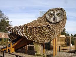 Scottish Owl Centre