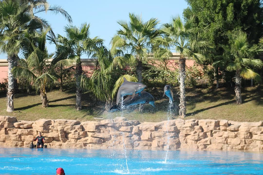 Parque Temático Dolphin Bay