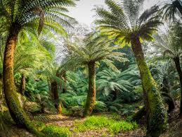 Trewidden Garden