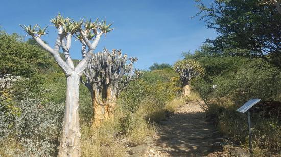 National Botanic Garden of Namibia