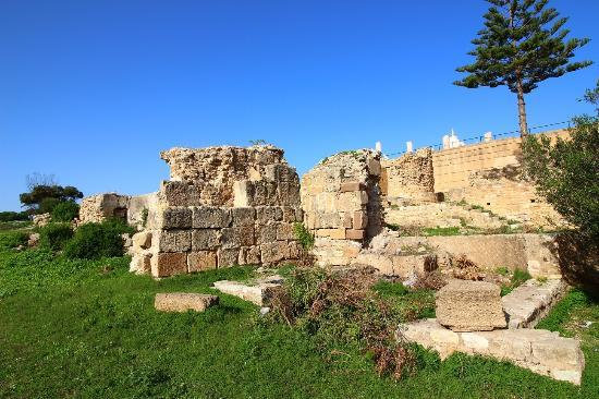 Carthaginian Ruins
