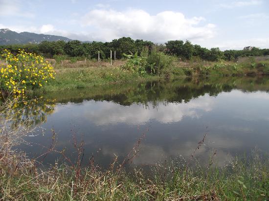 Tong'an Tourist Area
