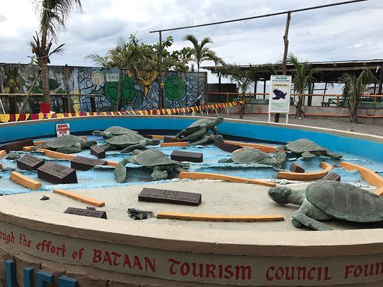 Pawikan Conservation Center