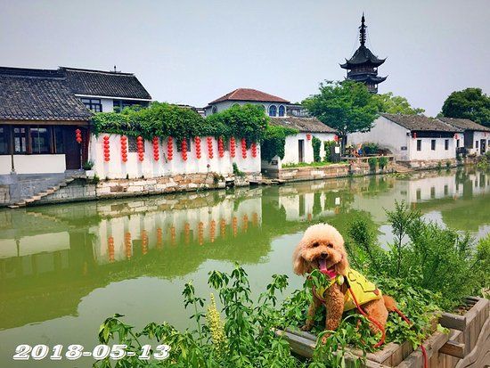 Zhenze Ancient Town