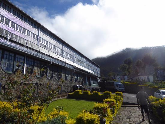 Dambatenne Tea Factory