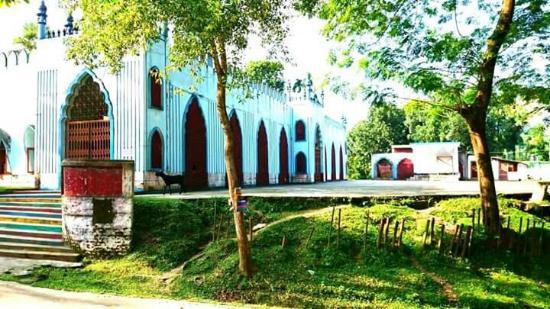 Butterfly Park Bangladesh