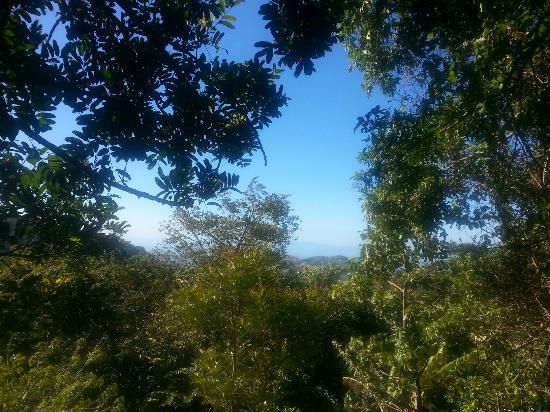 Ecological Sanctuary