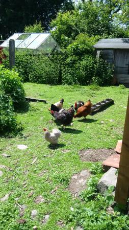 Clevedon Craft Centre