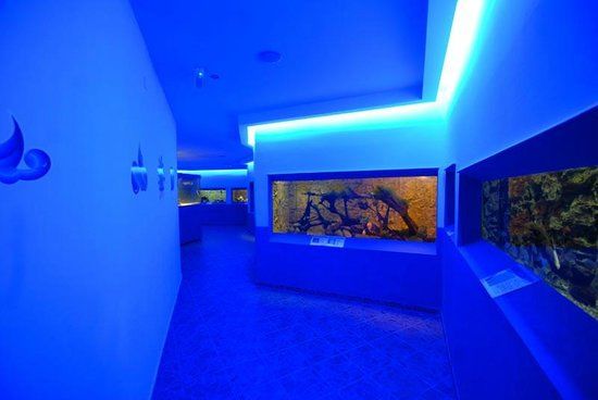 Zeeaquarium Protaras