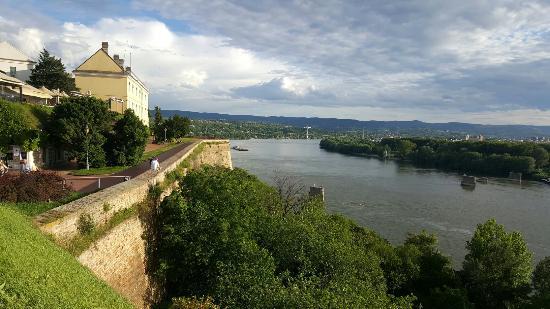 Dunav