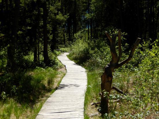 Moorerlebnis Sterntaler Filze