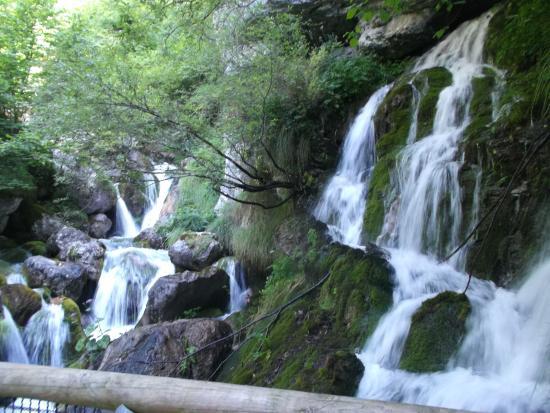 Area Natura Rio Bianco