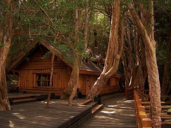 la cabaña de Disney