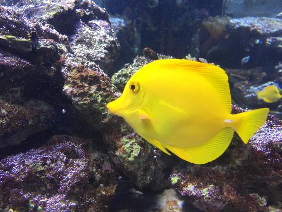 Acuario Mundo Marino