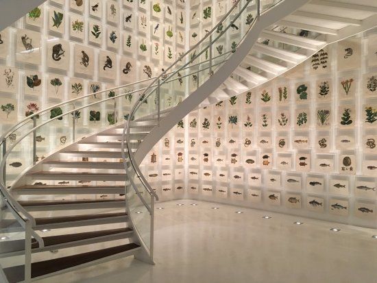 Musée Herculano Pires-Itaú Numismática