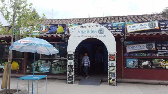 el Acuario de Santiago