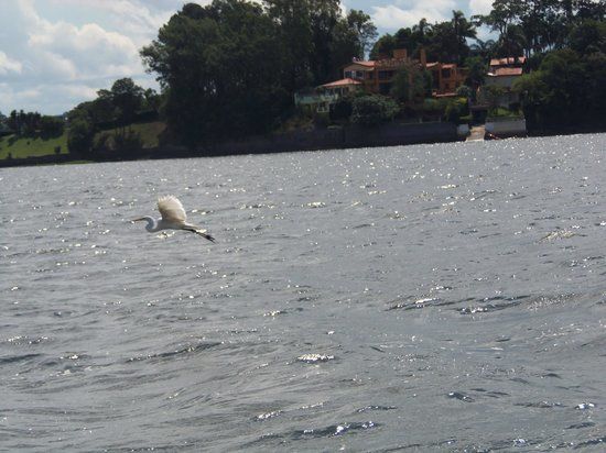 Ecological Park Guarapiranga