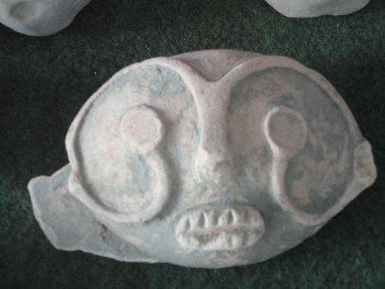 Instituto Geográfico e Histórico do Amazonas