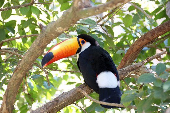 Zoológico de Santa Cruz