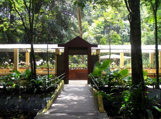 Jardim Botânico do Recife