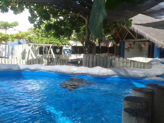 Oceanario de Aracaju