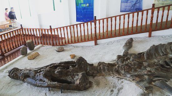 Museo El Fósil