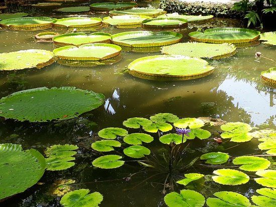 Museu Paraense Emílio Goeldi