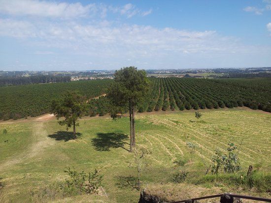 Fazenda Tozan