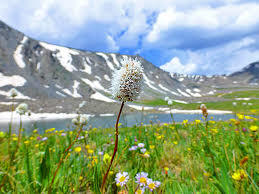 Mohawk Lakes