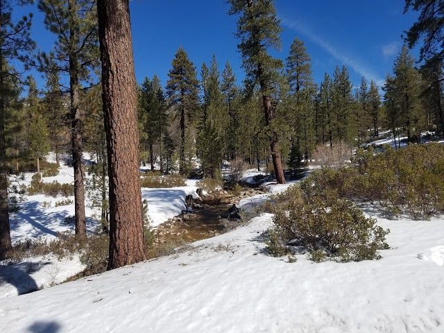 Rim Nordic Ski Area