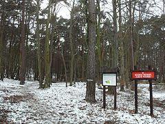 Zajecze Hill Nature Reserve