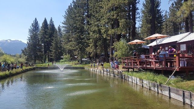 Tahoe Trout Farm