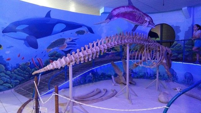 Oceanographic Museum of IEAPM