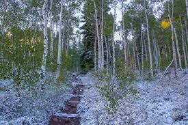 Booth Creek Trail