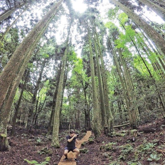 Seogwipo Forest of Healing