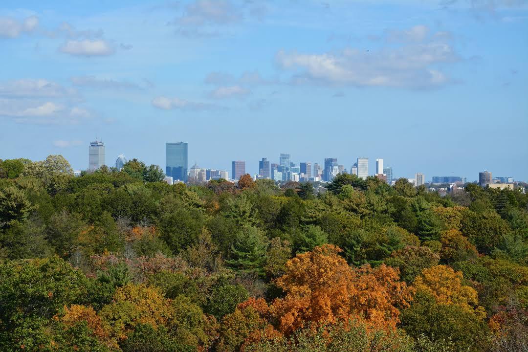 Arnold Arboretum of Harvard University