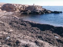 Playa de Agua Amarga