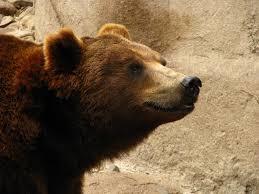 Zoológico de Mendoza