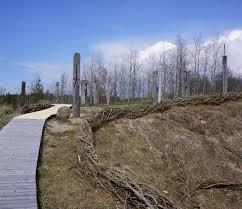 Samogitian Sanctuary