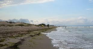 Playa Para Perros