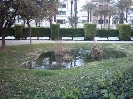 el Parc de Ribes Roges