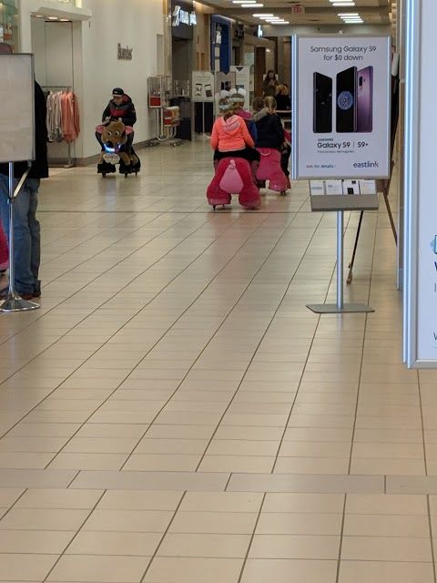 County Fair Mall